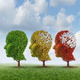 The Stages of Alzheimer's Disease